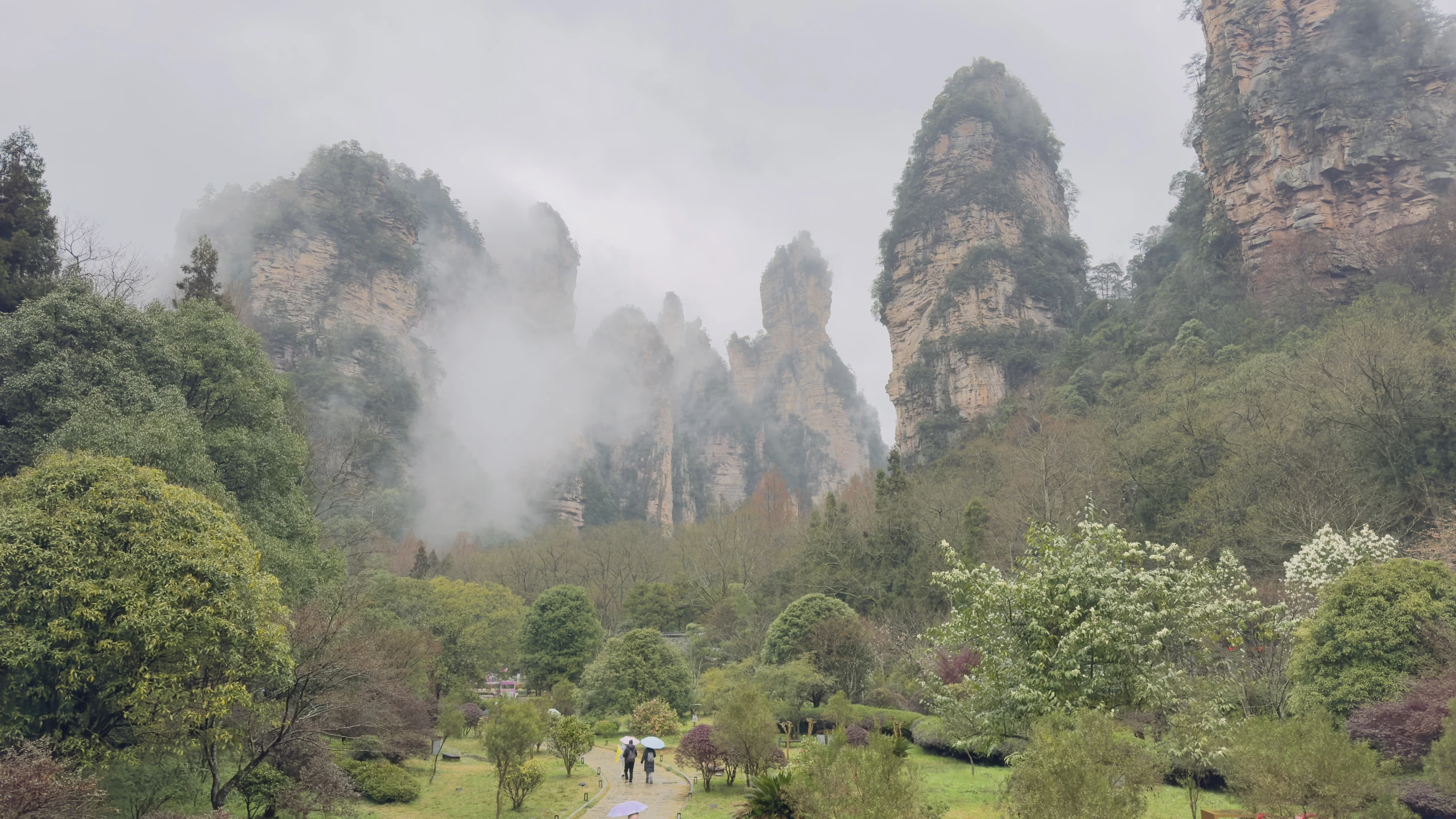 Visitors walking beneath mist-covered mountain pillars in Zhangjiajie, China